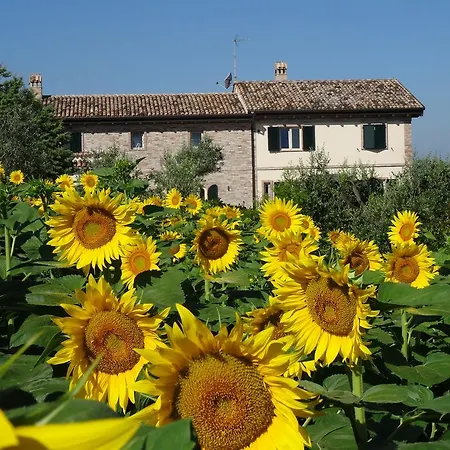 Bed and breakfast Ca' Nick Fermo